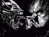 Foto Alien Vs Predator 