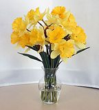 http://th167.photobucket.com/albums/u140/Tabascopeppers/FLOWERS/th_DAFFODILS.jpg