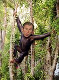 Chimp.jpg image by scubajoe72