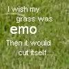 emo.jpg image by Tagalongs