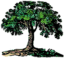 tree-gif.gif image by iris600tiger