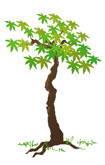 tree.gif image by iris600tiger