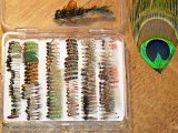 flies.jpg image by 93buff